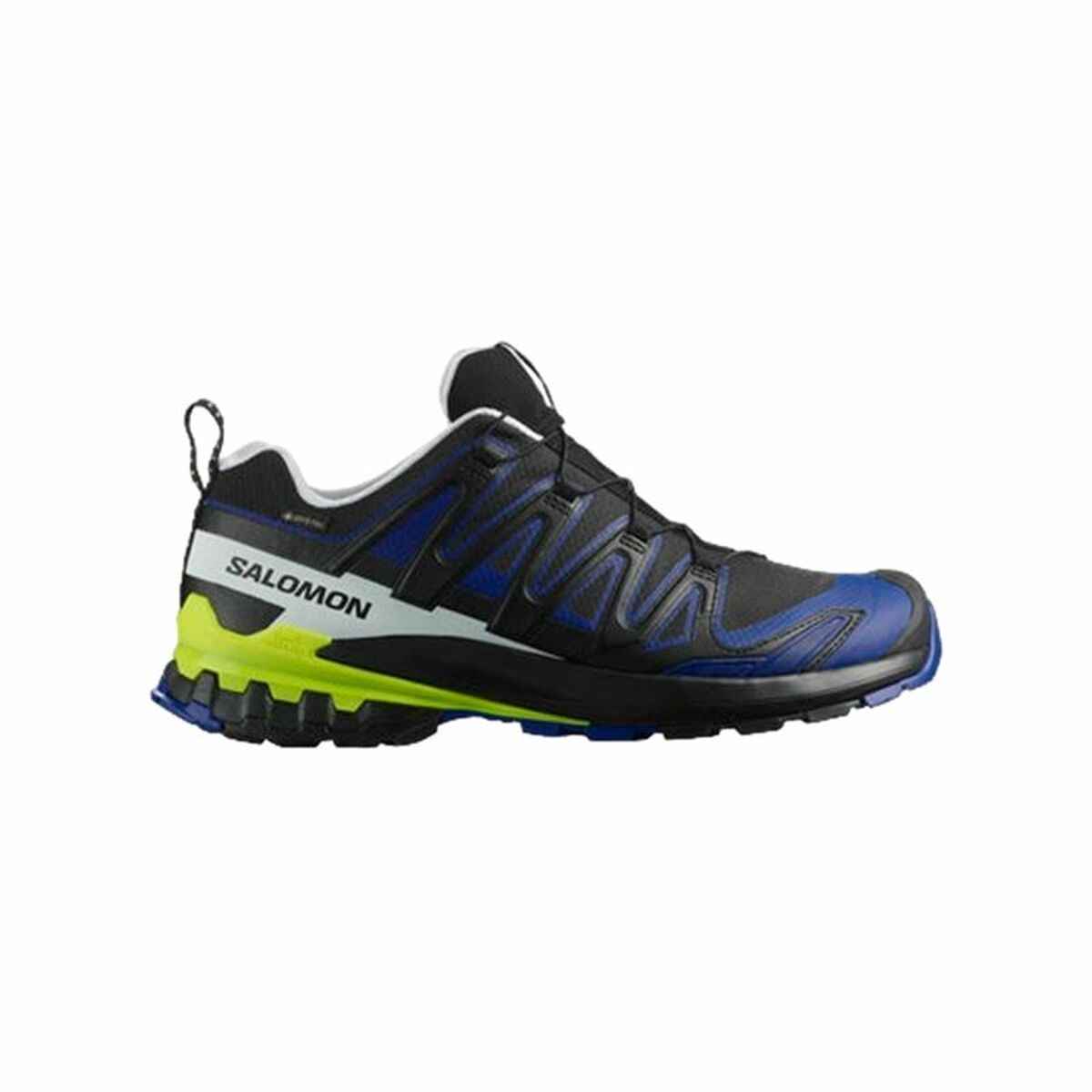 Men's Trainers Salomon XA PRO 3D V9 GTX Black