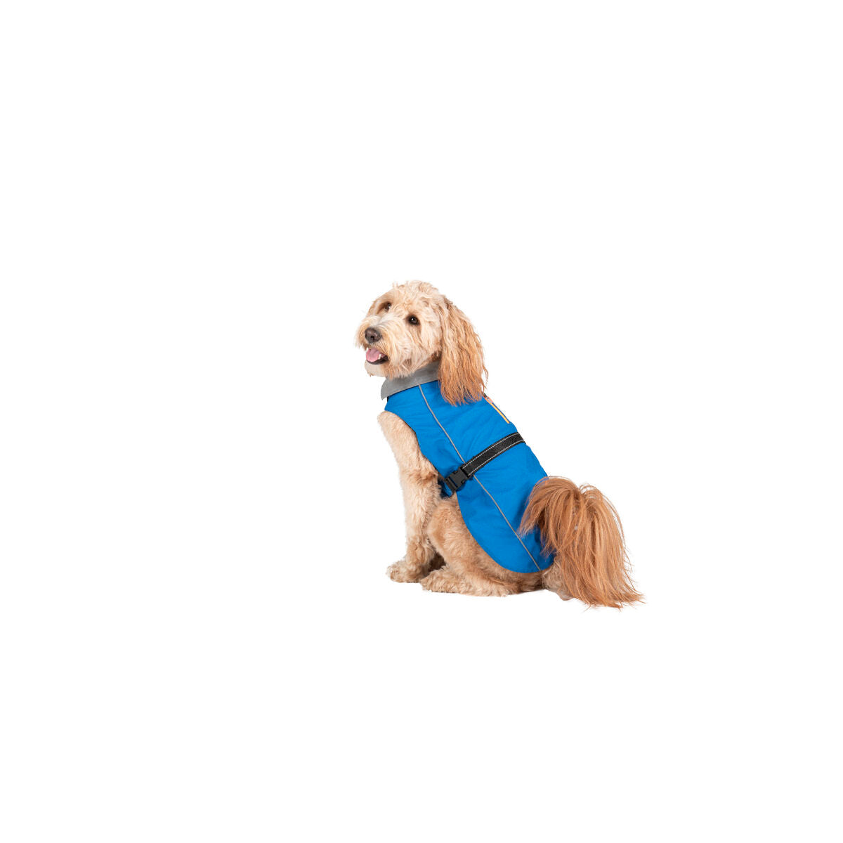 Dog raincoat Dog Gone Smart Blue 45 cm Dog Gone Smart