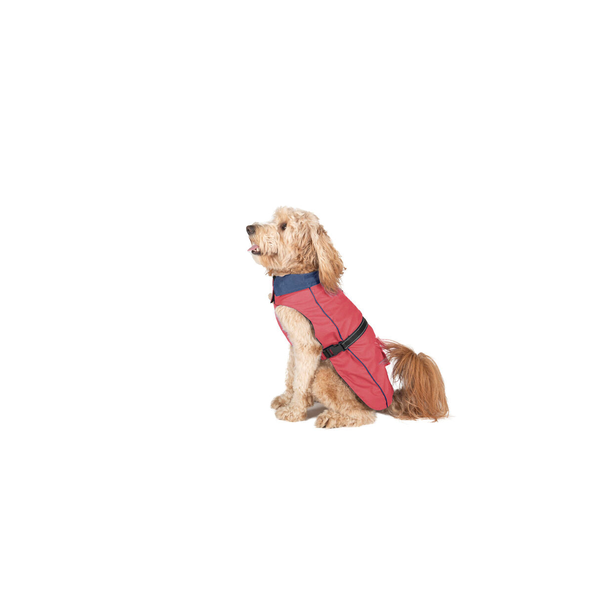 Dog raincoat Dog Gone Smart Coral 45 cm Dog Gone Smart