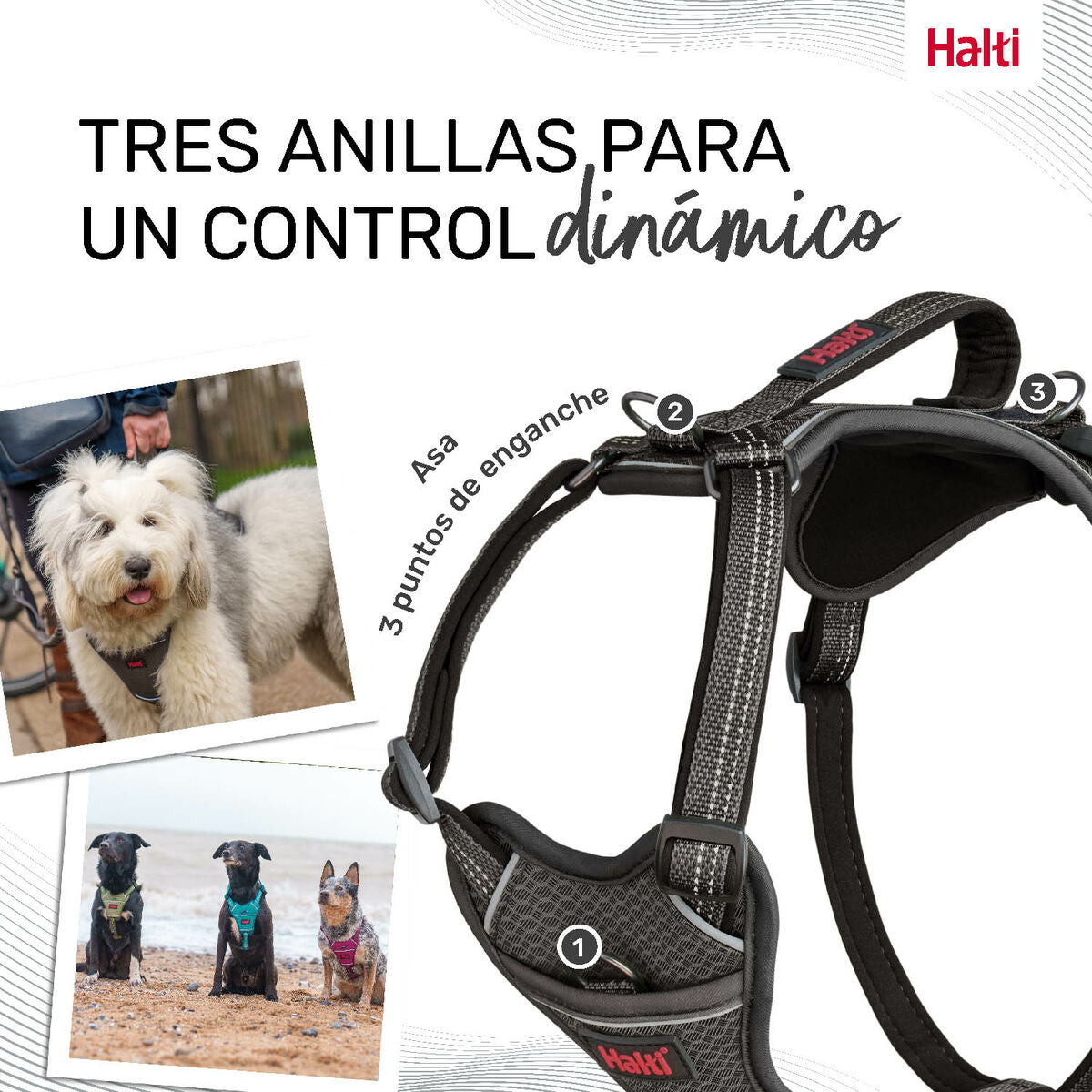 Dog Harness Company of Animals Grey XS 20-32 cm Company of Animals