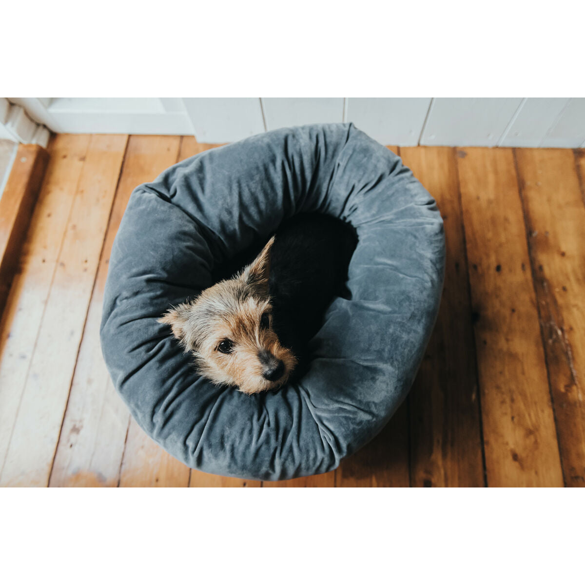 Dog Bed Hunter Miranda Grey 50 x 50 cm Hunter