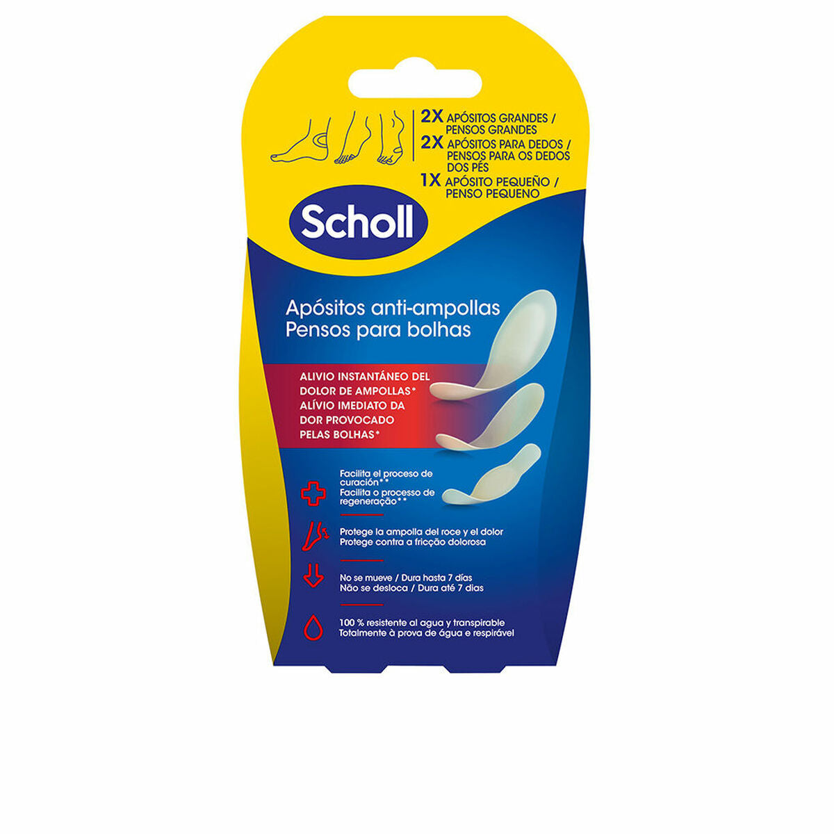 Plasters for blisters Scholl Apósitos 5 Units Scholl