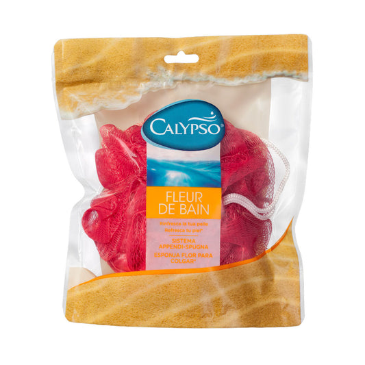 Calypso