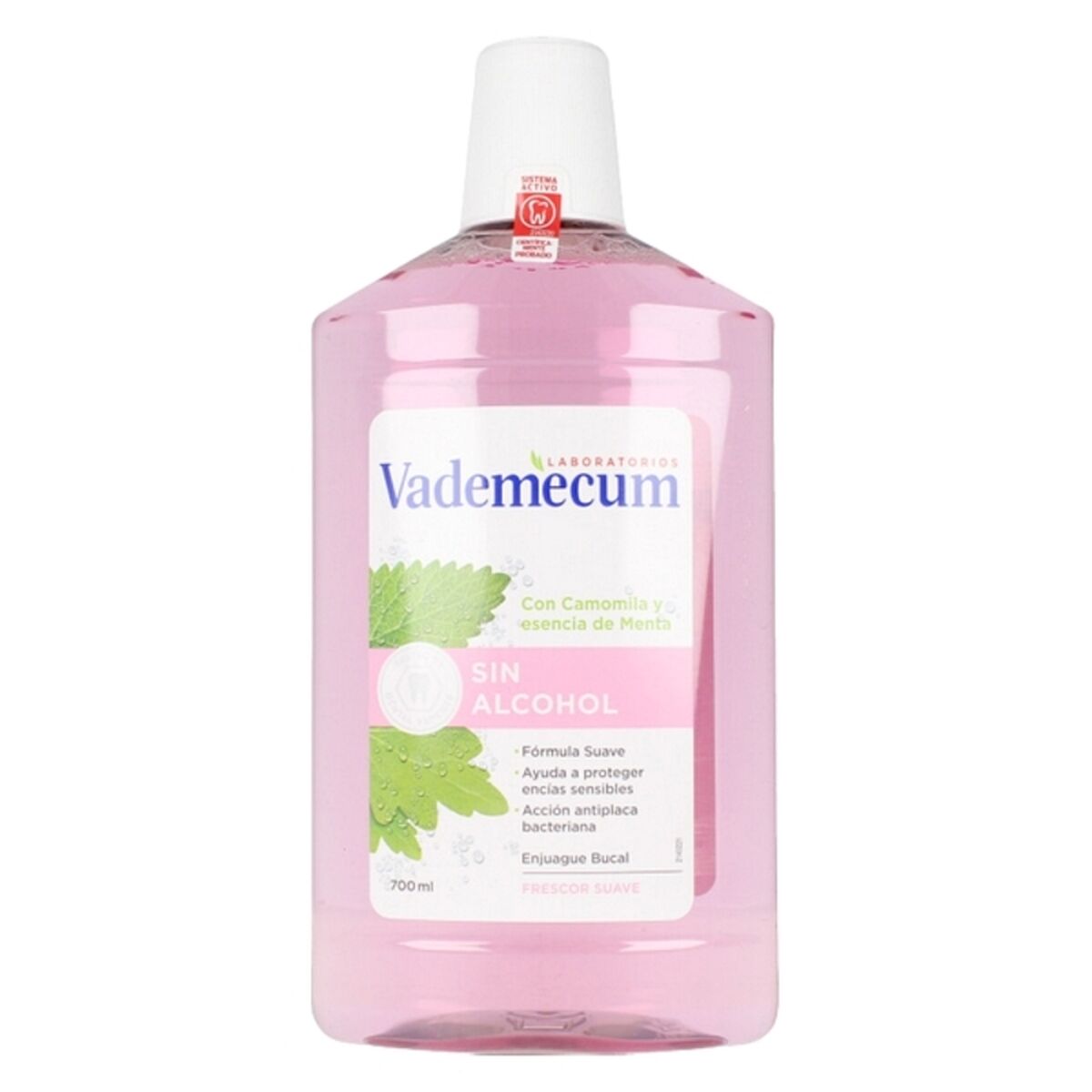 Mouthwash Vademecum Enjuague Bucal Sin Alcohol 700 ml Vademecum