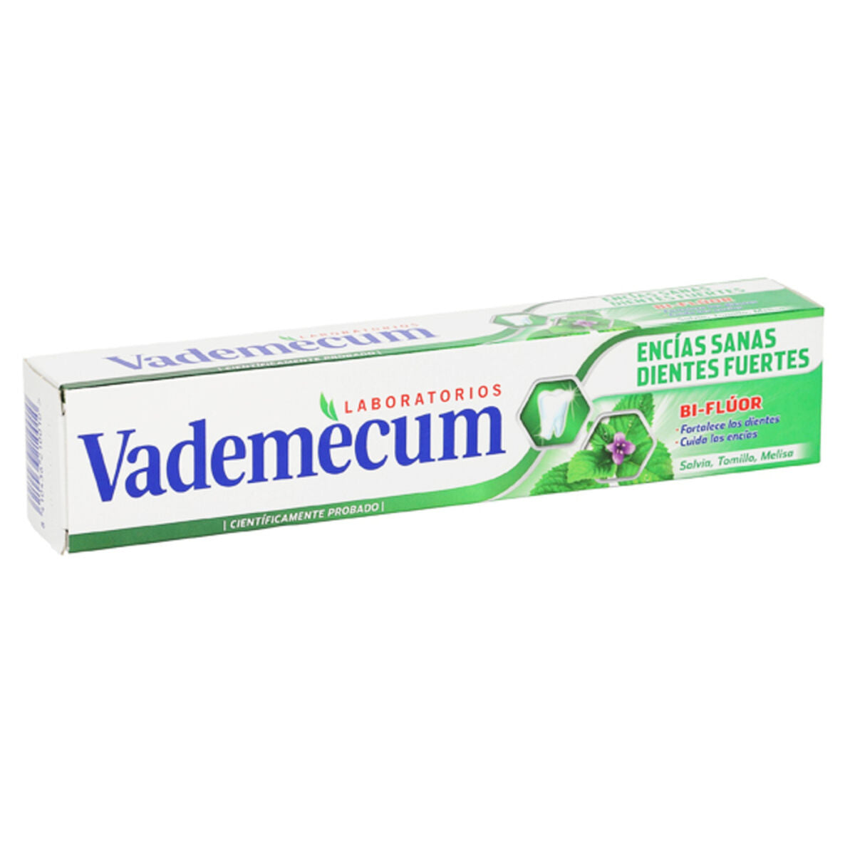 Toothpaste Healthy Gums and Strong Teeth Vademecum 8410642122008 (75 ml) (75 ml) Vademecum