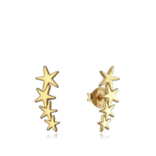 Ladies' Earrings Viceroy 5065E100-08 Viceroy