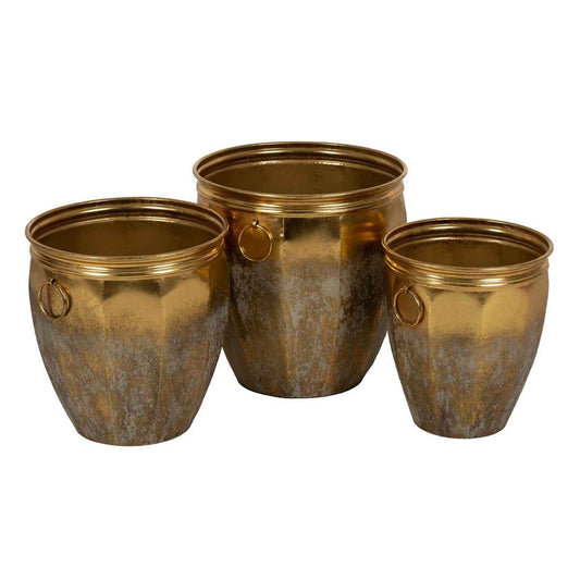 Planter Golden Iron (3 Units)