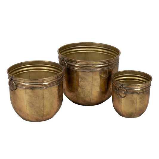 Planter Golden Iron (3 Units)