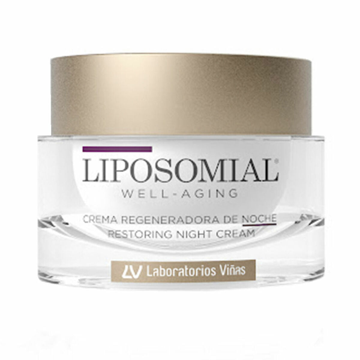 Night-time Anti-aging Cream Liposomial Well-Aging LIPOSOMIAL WELL-AGING 50 ml Liposomial Well-Aging