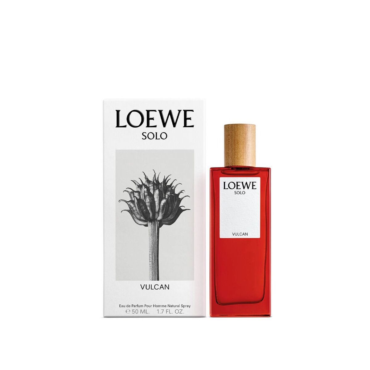 Men's Perfume Loewe Solo Vulcan EDP 100 ml Loewe